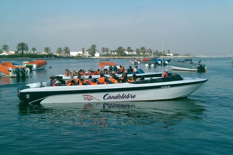 Ballestas Islands Sigthseeing Tour with transfers in Paracas trip - alternative tour available