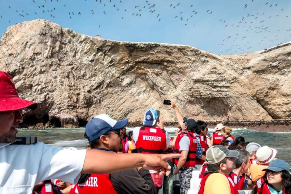 Ballestas Islands Tour from San Martin Port - Tangol Tours - Peru - Image 3