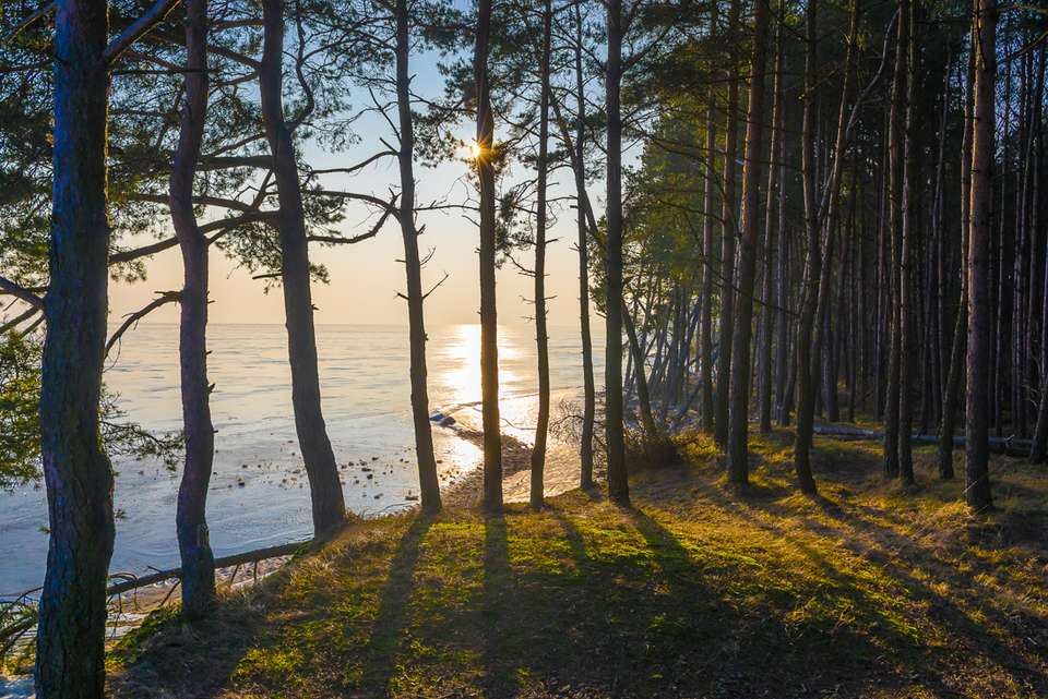 Baltic Experience - Intrepid Travel - Finland