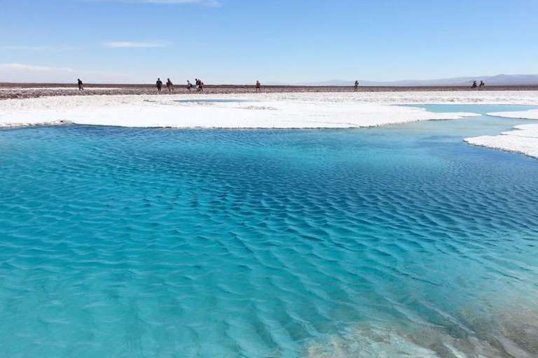 Baltinache Hidden Lagoon in San Pedro de Atacama trip - alternative tour available