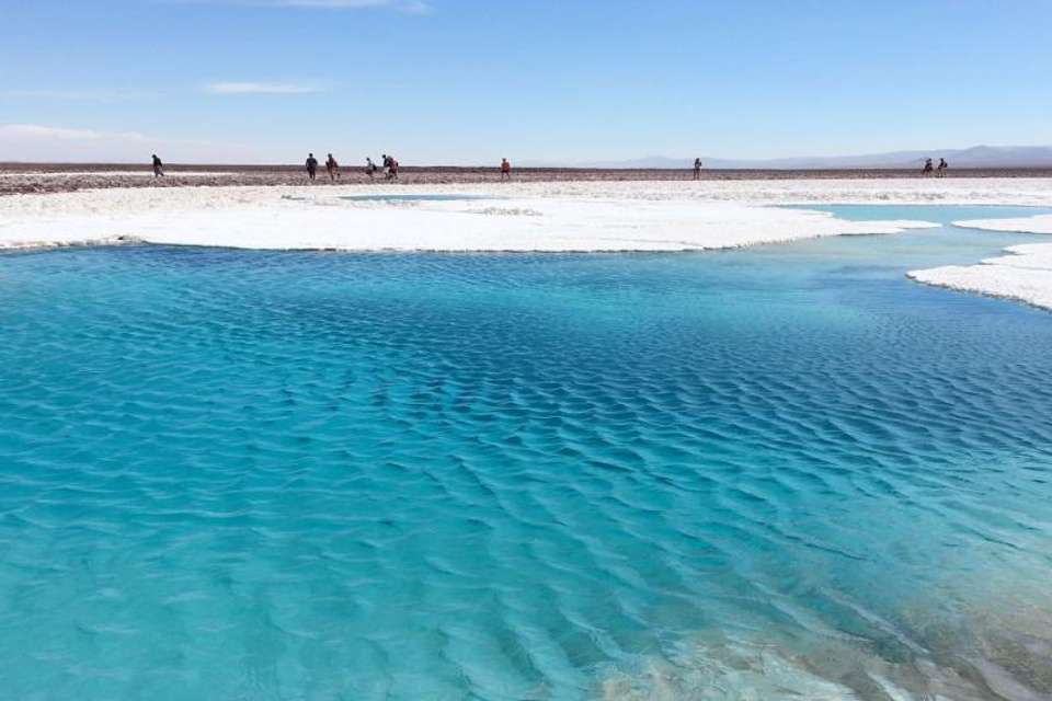 Baltinache Hidden Lagoon in San Pedro de Atacama - Tangol Tours - Chile - Image 1