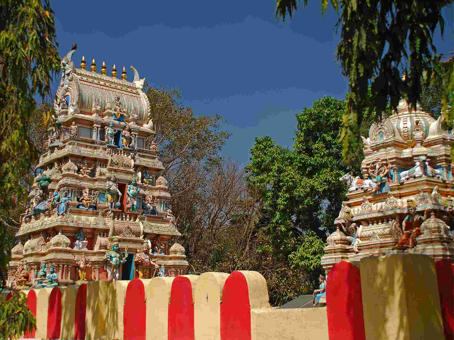 Bangalore, Mysore & Nagarhole - 8 days