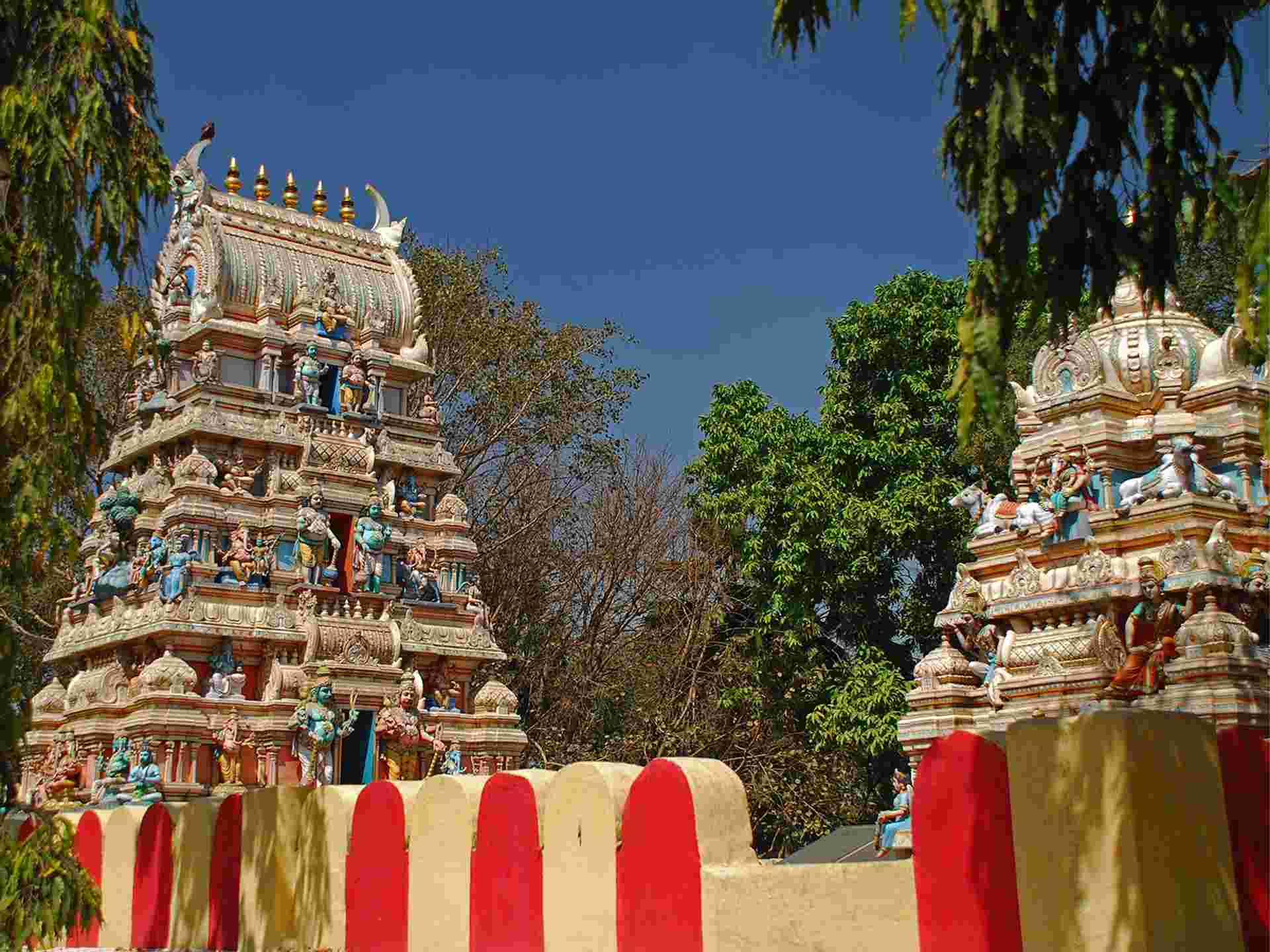 Bangalore, Mysore & Nagarhole - 8 days