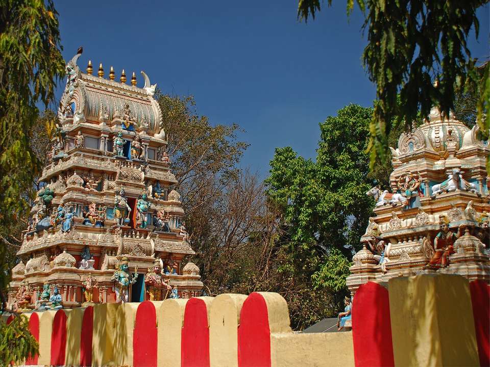 Bangalore, Mysore & Nagarhole - 8 days - On The Go Tours - India - Image 1