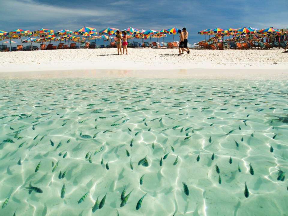 Bangkok, Golden Triangle & Phuket Beach Extension - Private Tour - Destination Services - Thailand - Image 1
