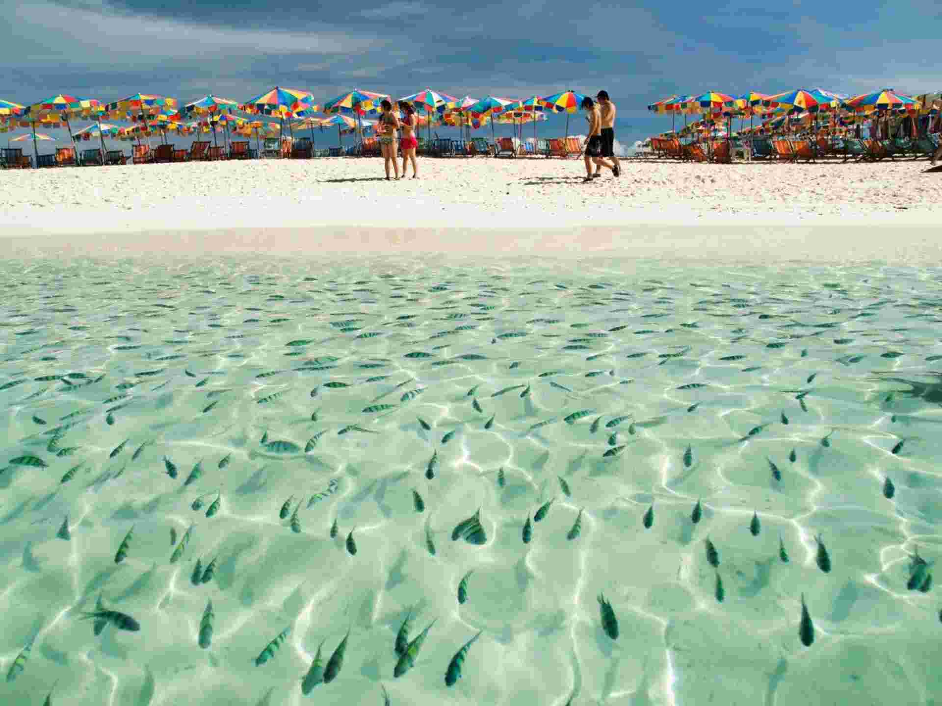Bangkok, Golden Triangle & Phuket - Domestic Flights Incl. - Private (english Only)