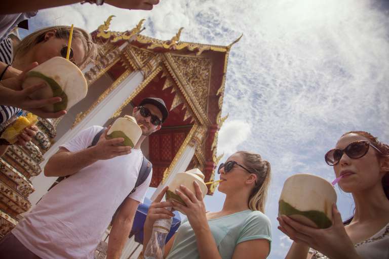 Bangkok to Chiang Mai Express trip - alternative tour available