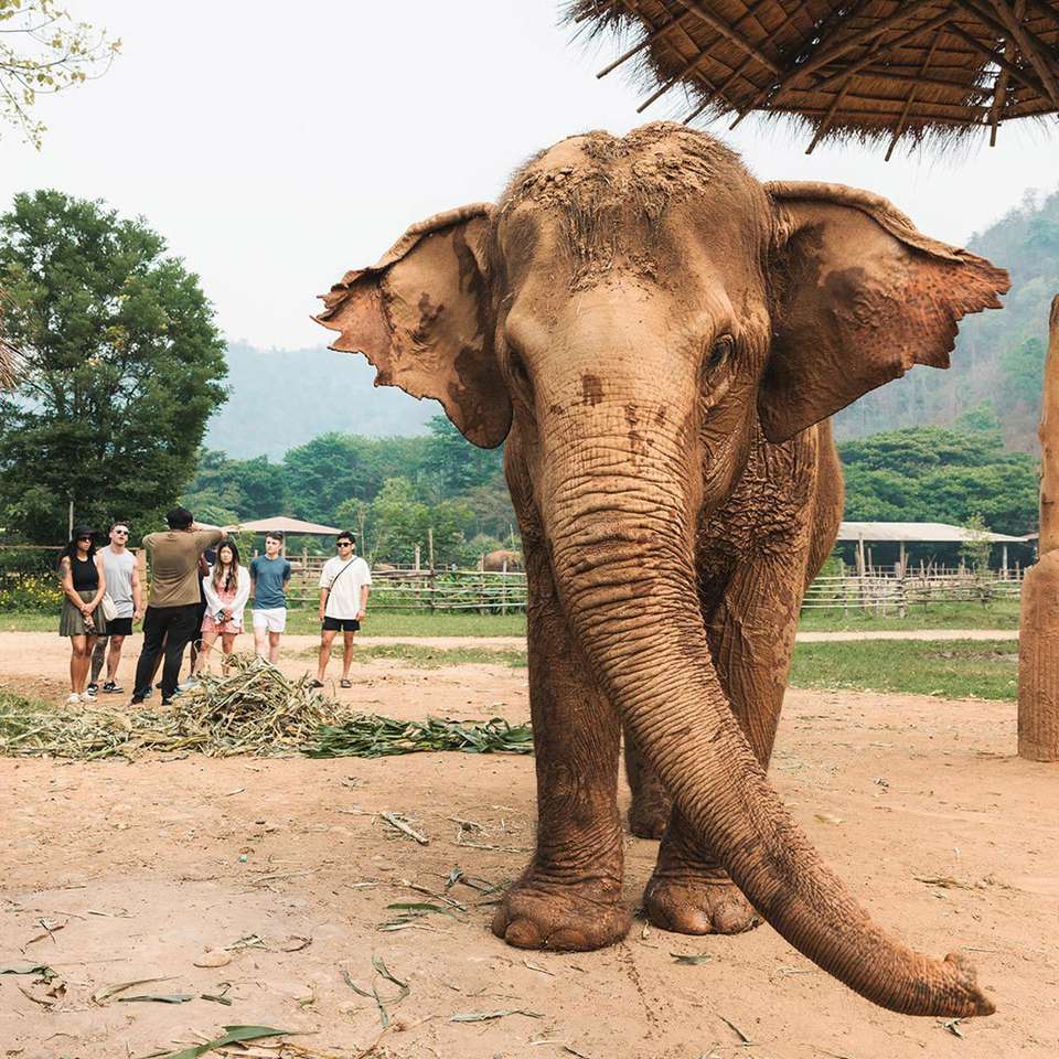 Bangkok to Luang Prabang - Contiki - Thailand - Image 1