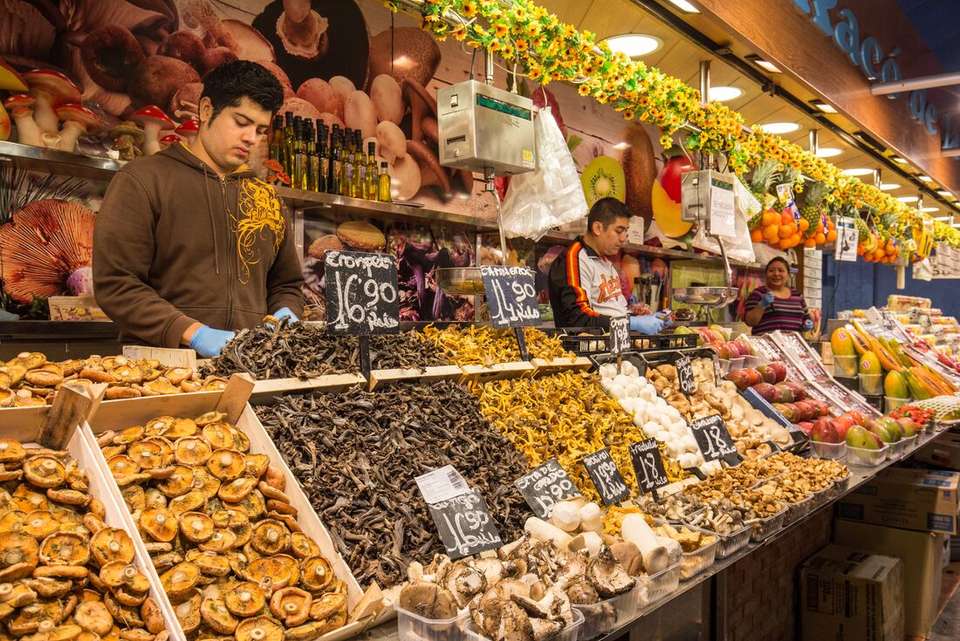 Barcelona to Rome - Intrepid Travel - Spain - Image 14