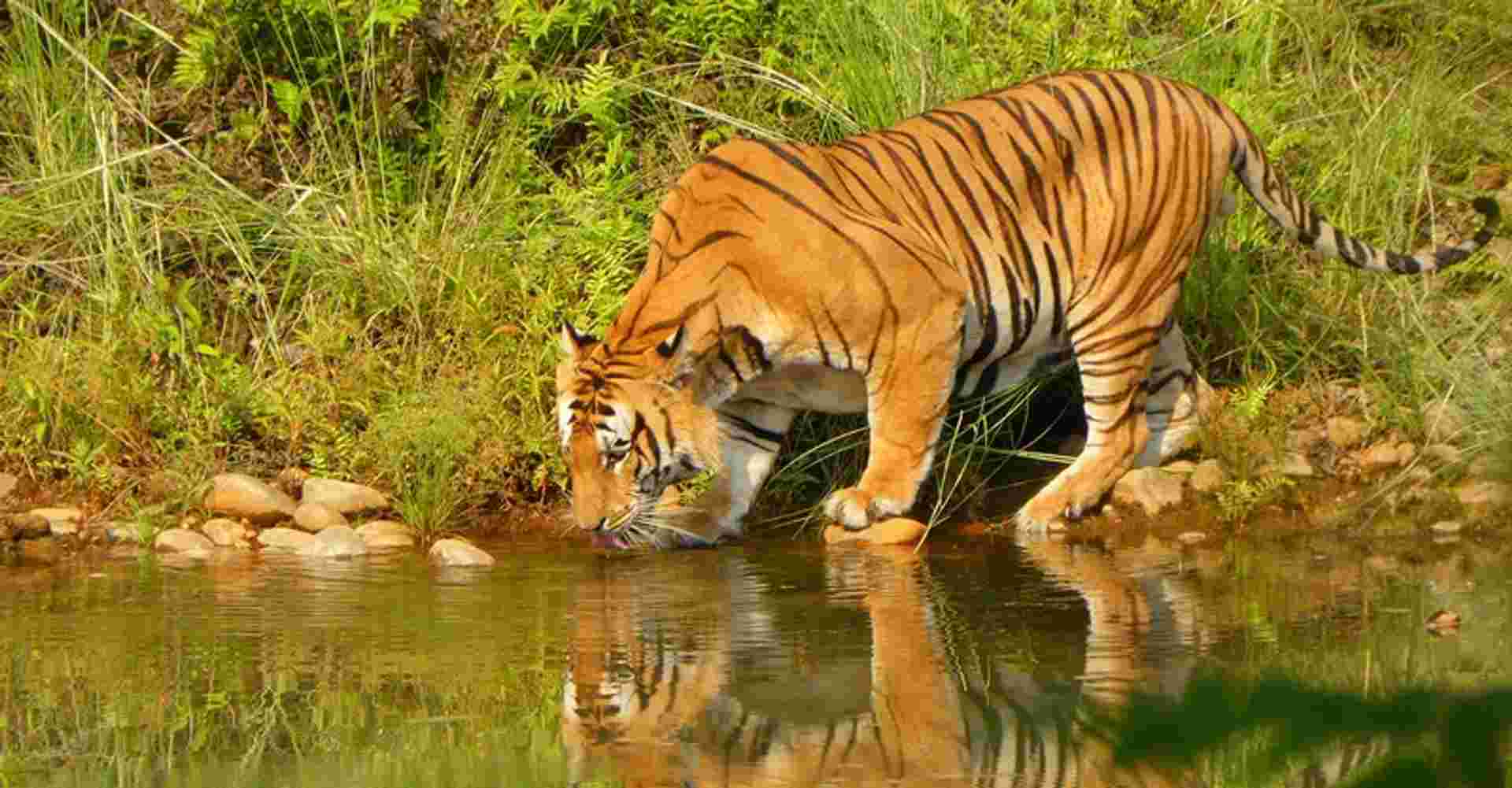 Bardia National Park 5 Days/ 4 Nights
