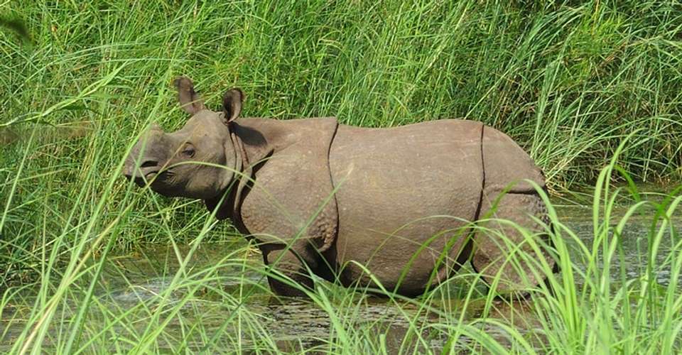 Bardia National Park 5 Days/ 4 Nights - Eyes On Nepal Tours & Treks Pvt.ltd - Nepal - Image 2
