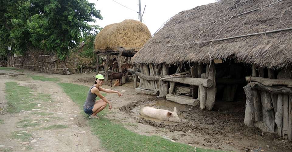 Bardia National Park 5 Days/ 4 Nights - Eyes On Nepal Tours & Treks Pvt.ltd - Nepal - Image 6