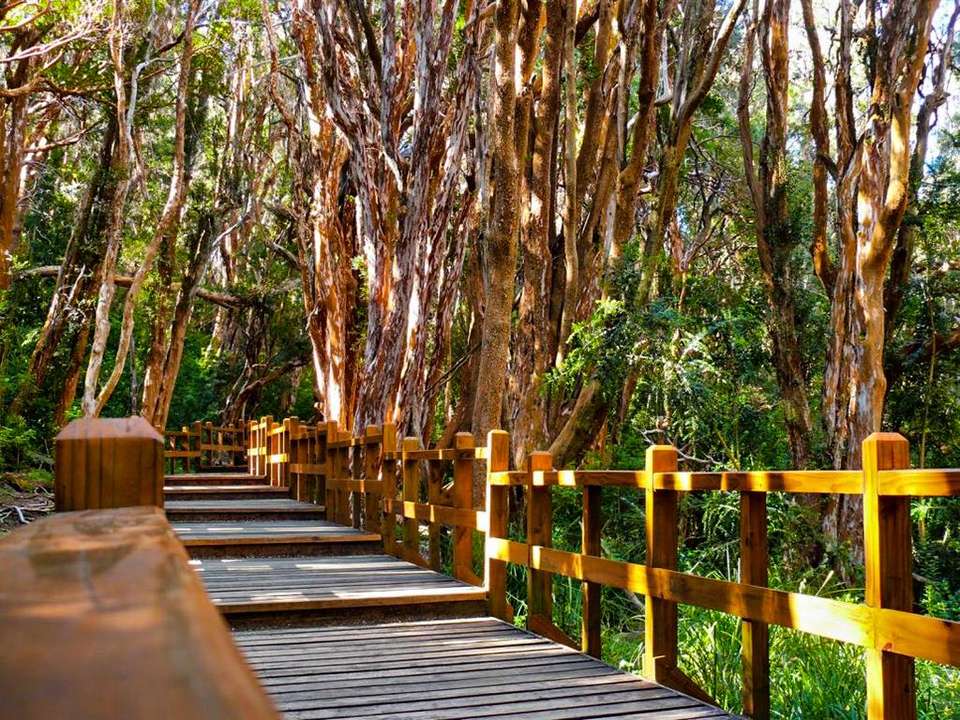 Bariloche Nature Discovery 4D/3N - Bamba - Argentina