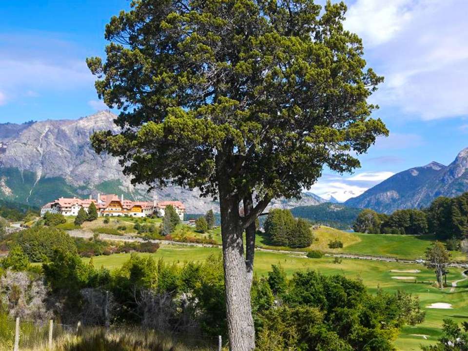 Bariloche Nature Discovery 4D/3N - Bamba - Argentina