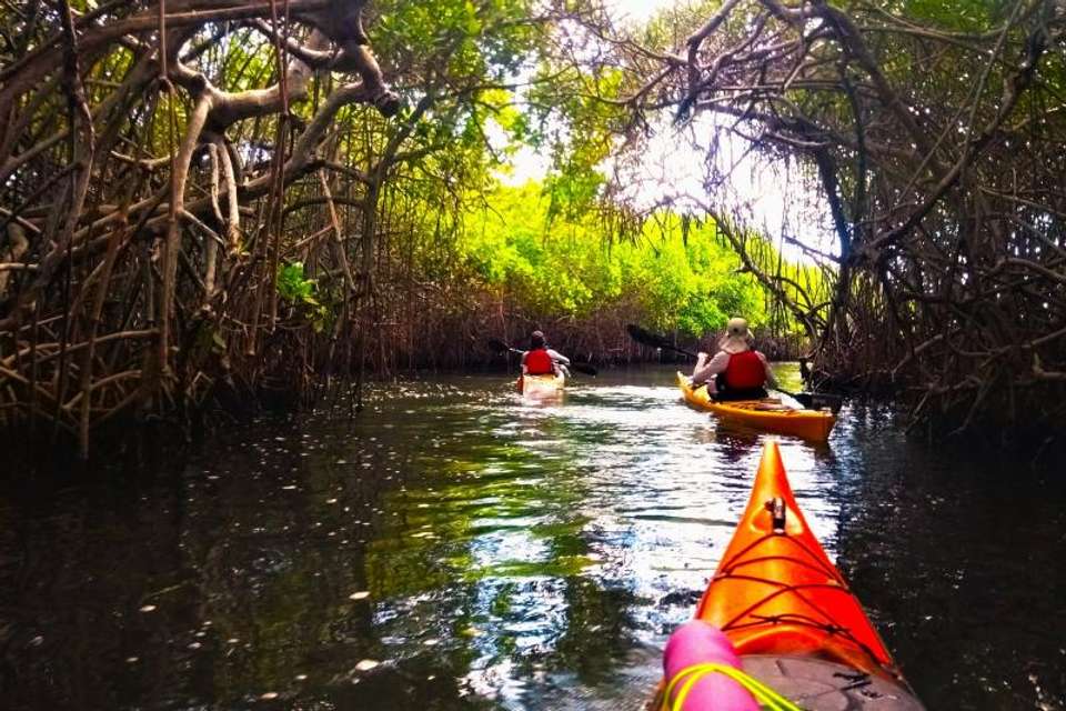 Baru Island in Kayak - Tangol Tours - Colombia - Image 1