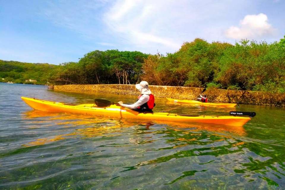 Baru Island in Kayak - Tangol Tours - Colombia - Image 2