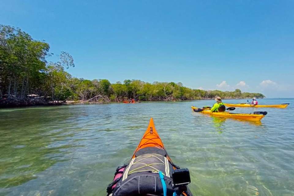 Baru Island in Kayak - Tangol Tours - Colombia - Image 3