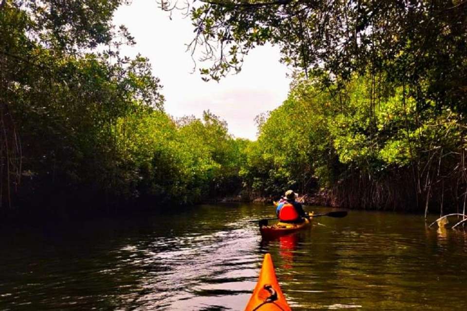 Baru Island in Kayak - Tangol Tours - Colombia - Image 4