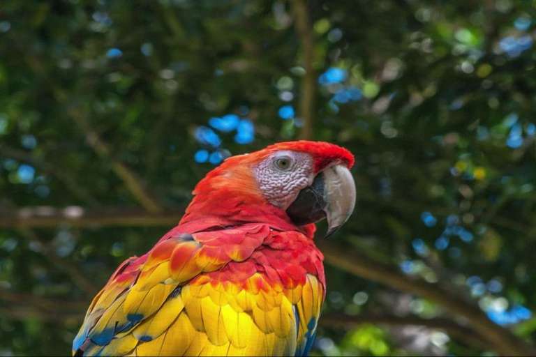 Bathing Resort Sun Island trip - alternative tour available