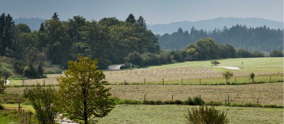 Image 2 of 13
