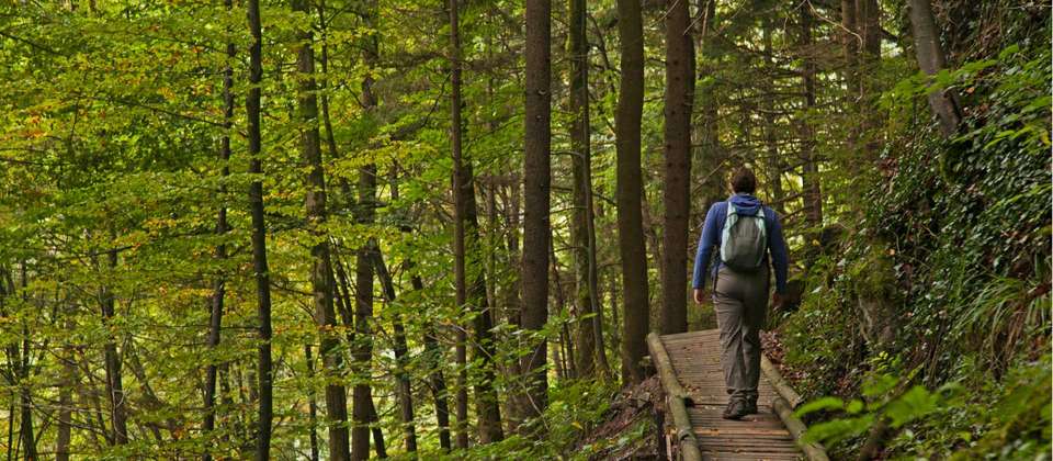 Bavaria: King Ludwig's Way - World Expeditions - Germany - Image 9