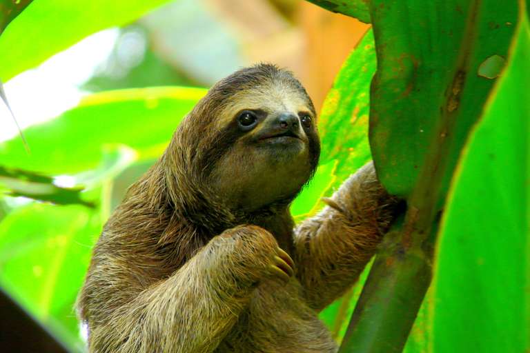 Beaches And Nature With Santa Teresa, Self-drive - 15 days