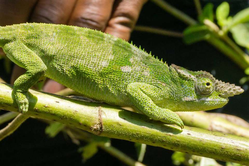 Beaches, Game Parks & Gorillas - Intrepid Travel - Tanzania - Image 19