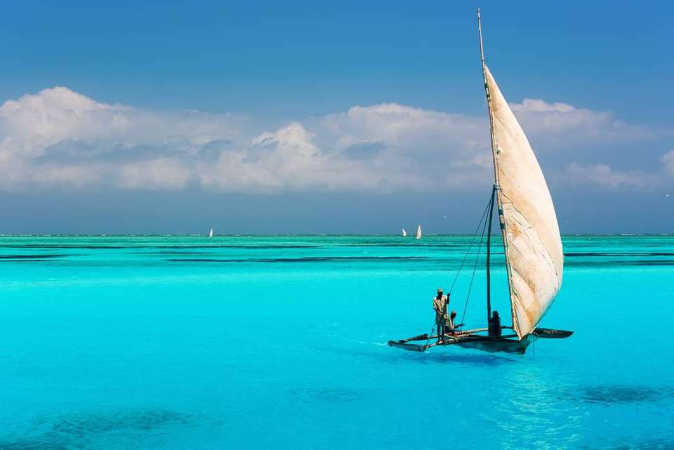 Beaches, Game Parks & Gorillas - Intrepid Travel - Tanzania - Image 18