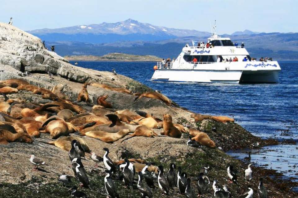 Beagle Channel Yacht Sailing - Tangol Tours - Argentina - Image 2