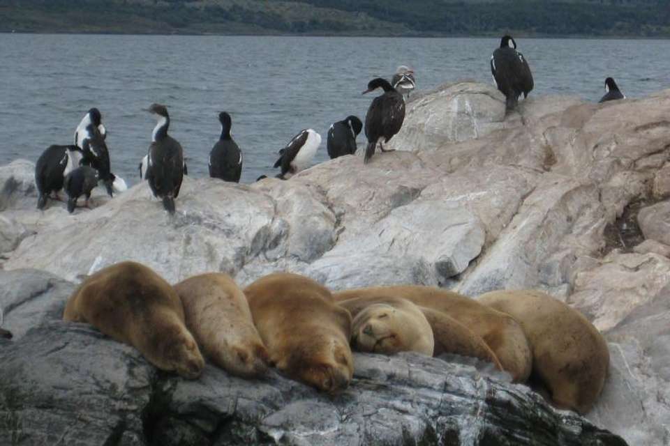 Beagle Channel Yacht Sailing - Tangol Tours - Argentina - Image 3