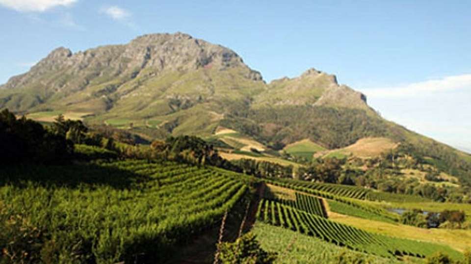 Beautiful Cape Wine Lands - Irina Africa Tours & Safaris - South Africa - Image 3