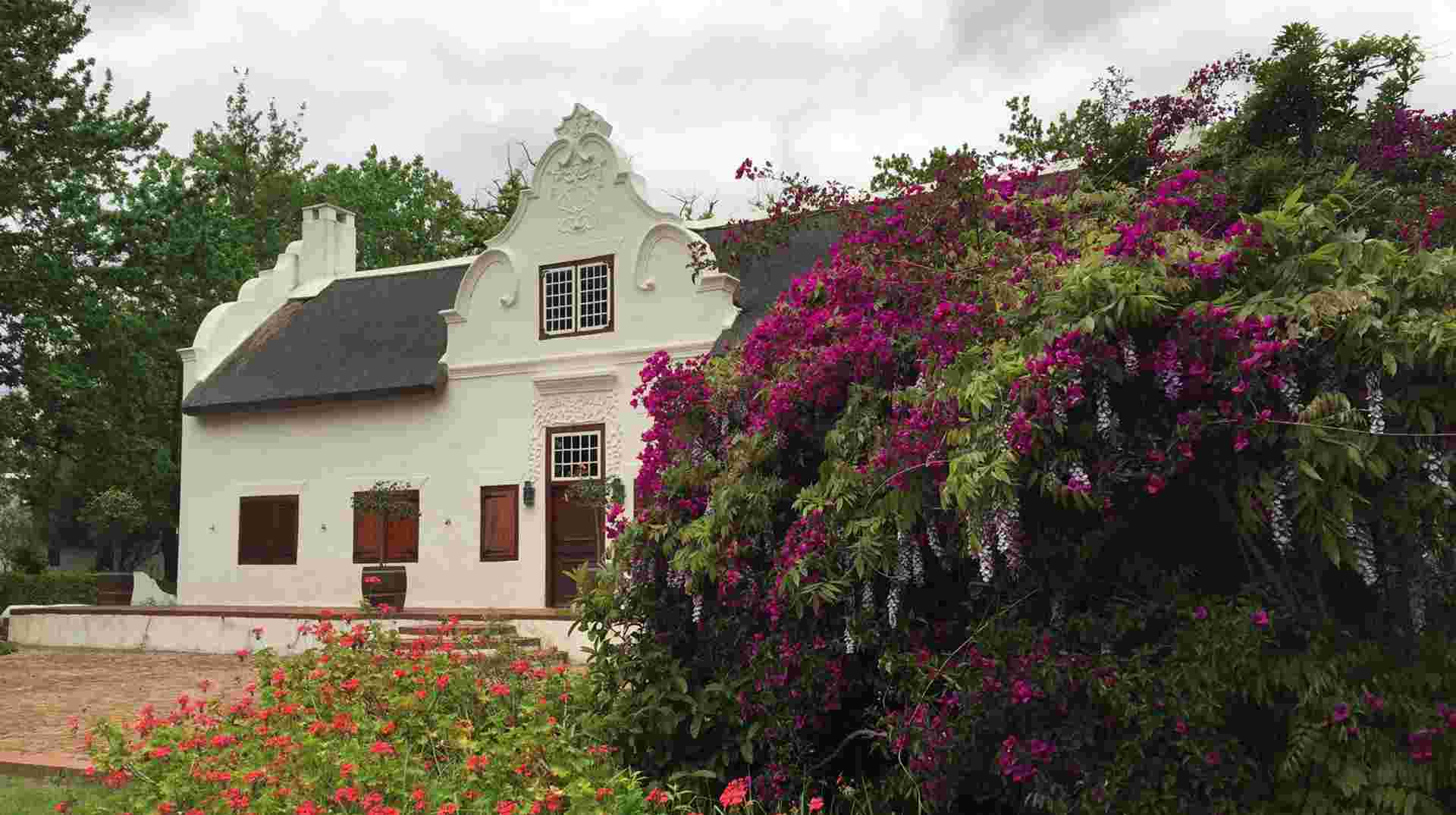 Beautiful Cape Wine Lands