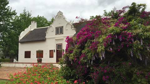 Beautiful Cape Wine Lands