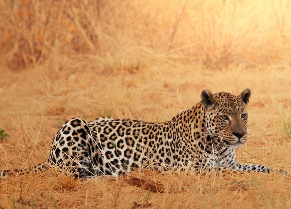 Beautiful Contrasts Of Northern Namibia, Private Tour (on Request) - Destination Services - Namibia - Image 8