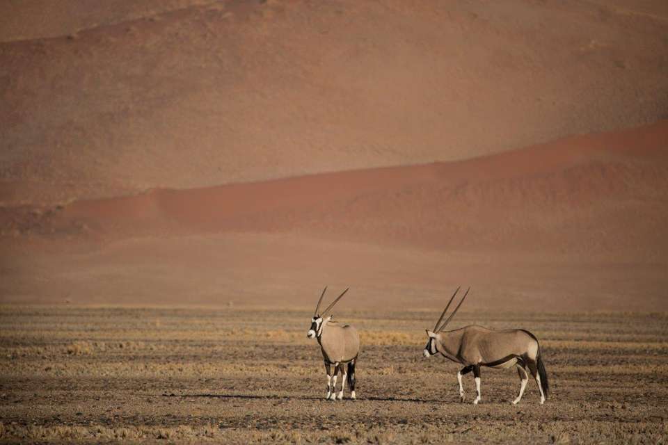 Beautiful Contrasts Of Southern Namibia, Private Tour (on Request) - Destination Services - Namibia - Image 9