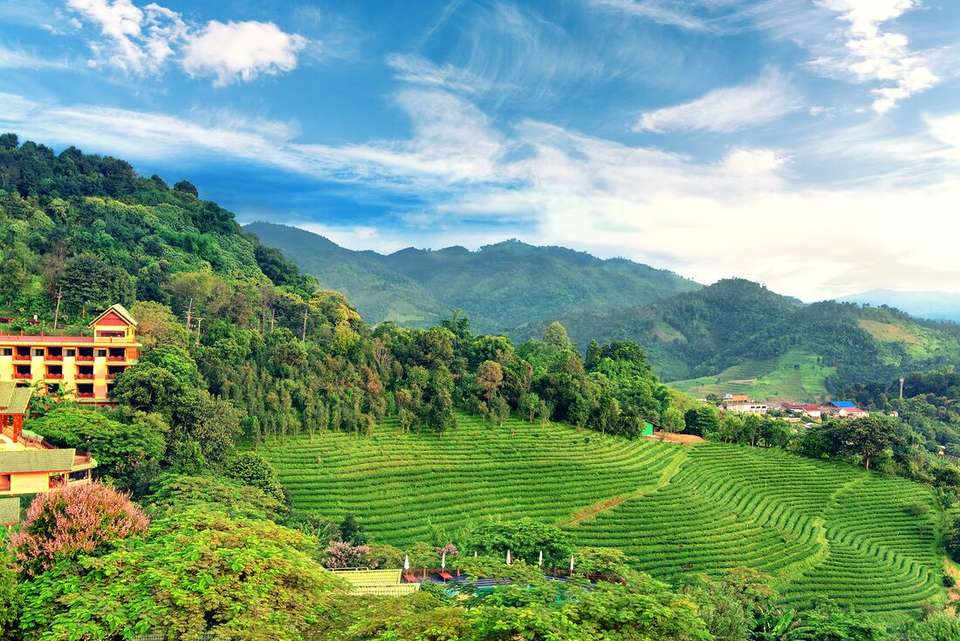 Beautiful Northern Thailand - Intrepid Travel - Thailand - Image 12