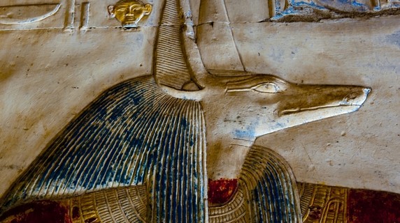 Image 4 of 16
