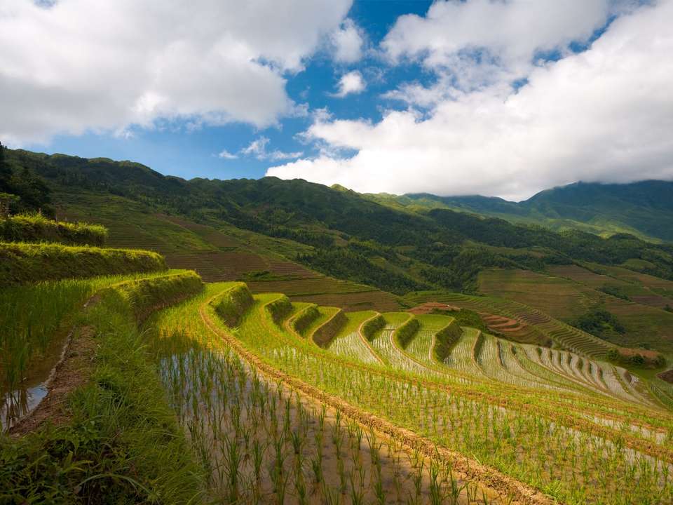 Beijing to Guilin and Hong Kong (4-5 Star) - 13 days - On The Go Tours - China - Image 9