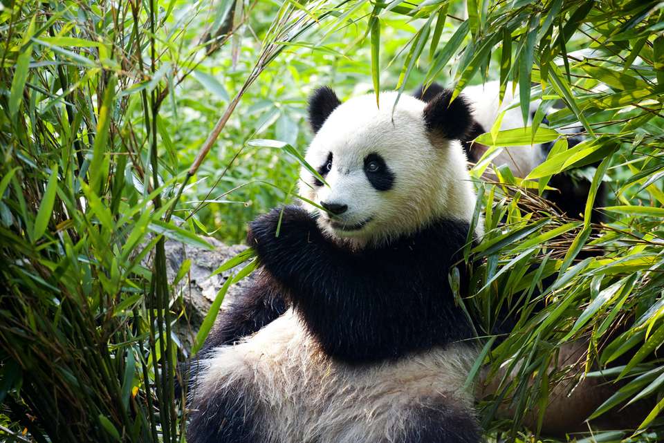 Beijing to Hong Kong Adventure - Intrepid Travel - China - Image 4