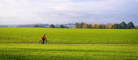 Bicycle Tour: Belgium Cycle - Brussels To Bruges