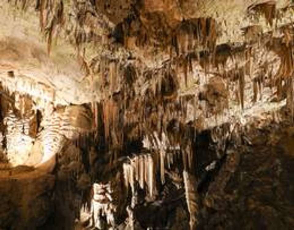 Belgrade to Dubrovnik - 13 days - On The Go Tours - Serbia - Image 2