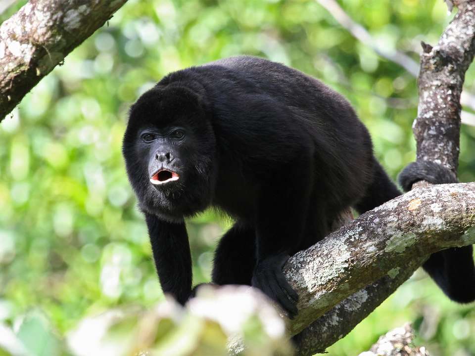 Belize Discovery - 8 days - On The Go Tours - Belize - Image 3