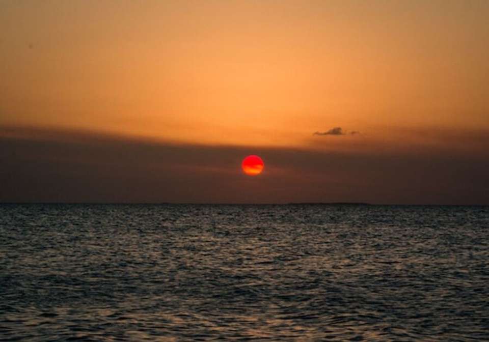 Belize Jungle and Beach - Indus Travels - Belize - Image 5