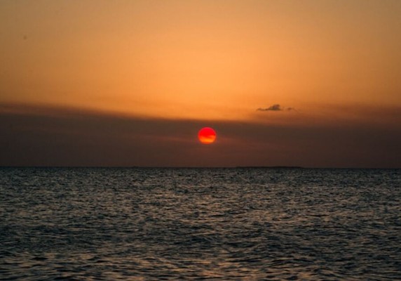 Image 5 of 6