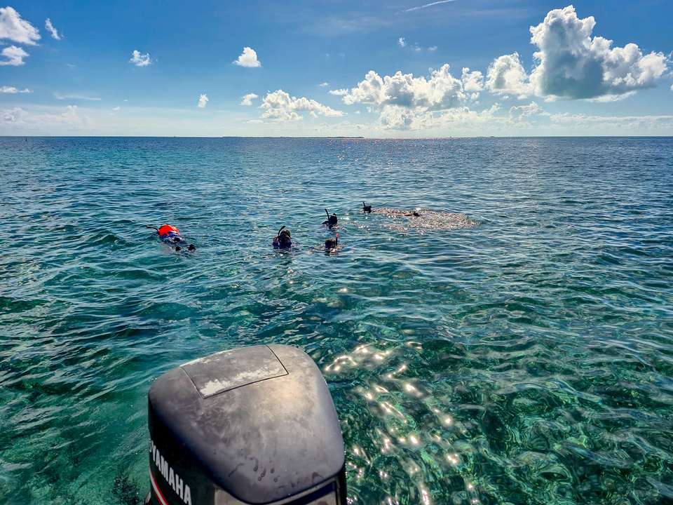 Image 6 of 24