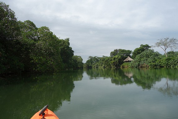 Image 4 of 9