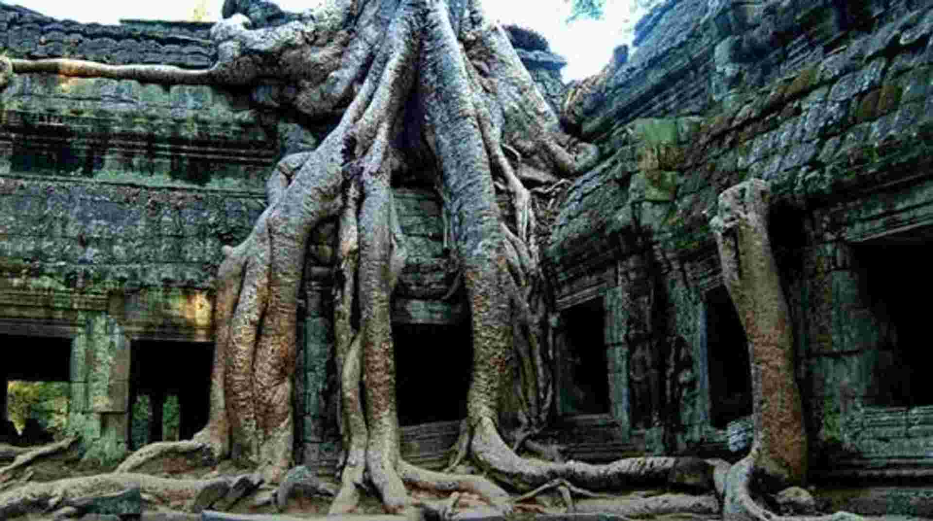 Beng Mealea Half Day Tour from Siem Reap 