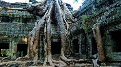 Beng Mealea Half Day Tour From Siem Reap - September 2027