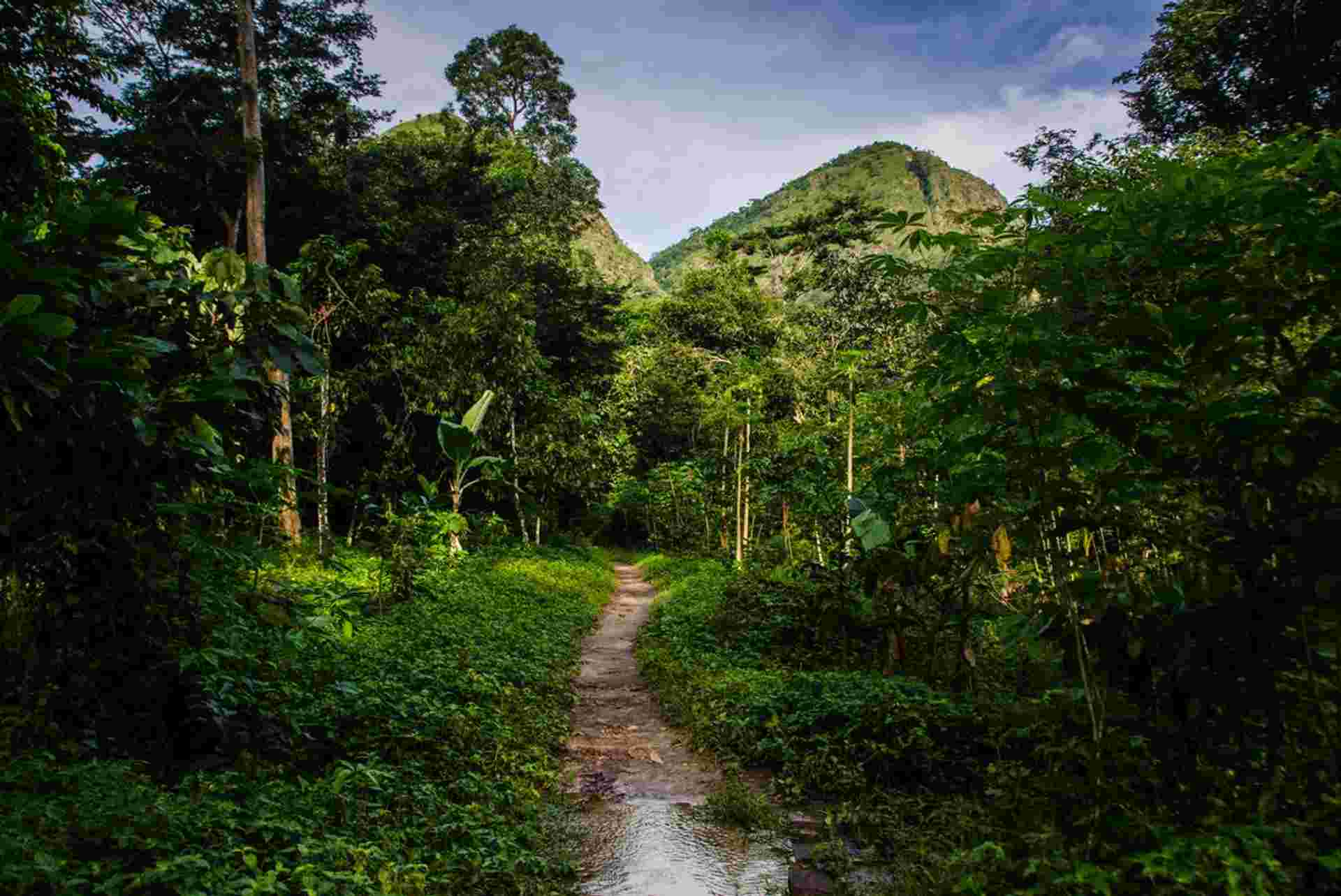 Benin, Togo & Ghana Adventure
