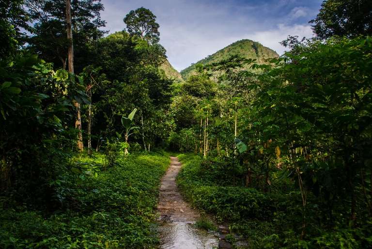 West Africa Adventure Tour: Benin, Togo & Ghana Adventure